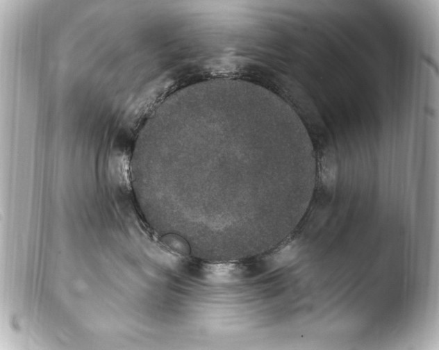 X0000103950575200810031348