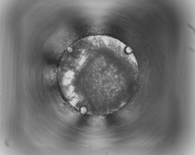 X0000103950576200810031348