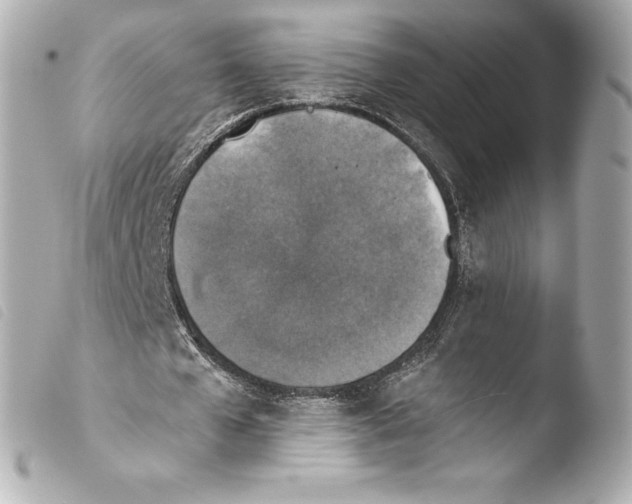 X0000103950577200810031348