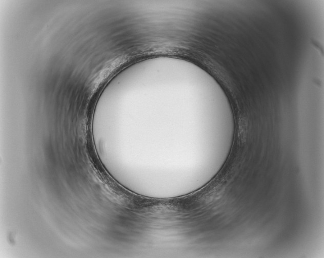 X0000103950578200810031348