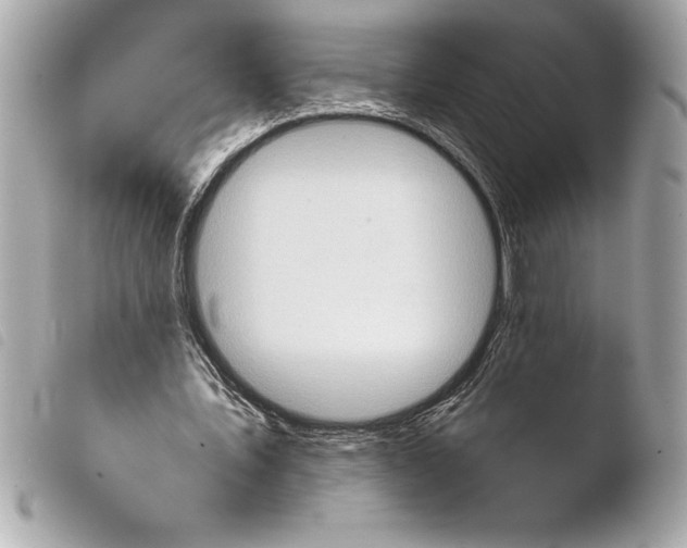 X0000103950579200810031348