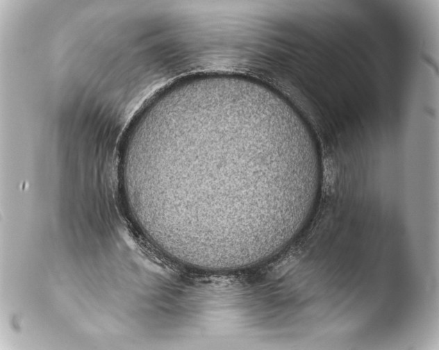 X0000103950580200810031348