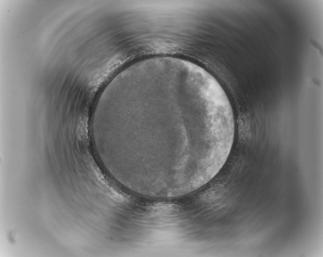 X0000103950581200810031348