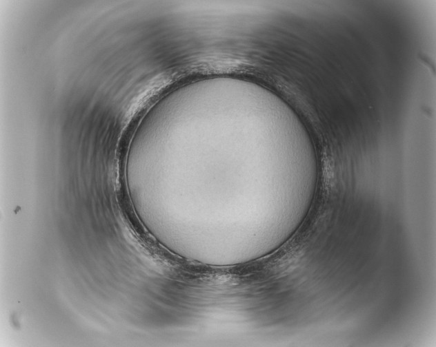 X0000103950582200810031347