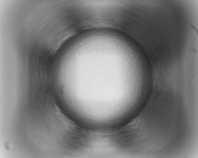 X0000103950583200810031347