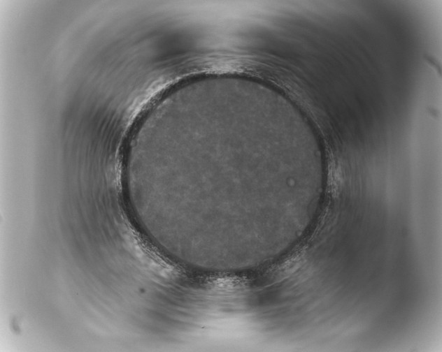 X0000103950584200810031347