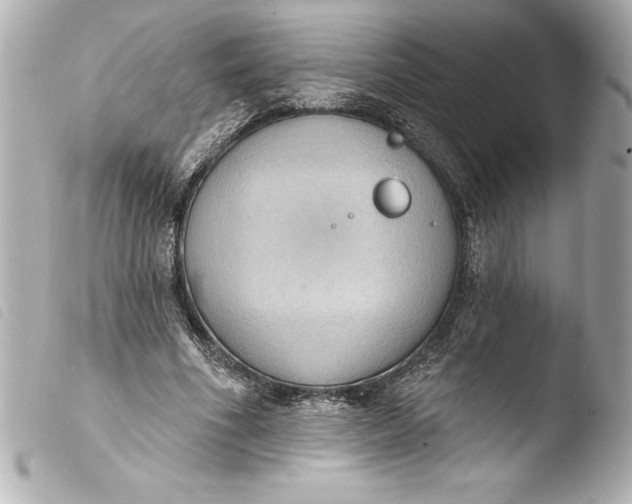 X0000103950586200810031347