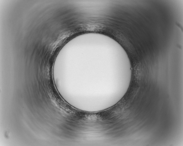 X0000103950587200810031347