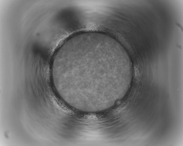 X0000103950588200810031347