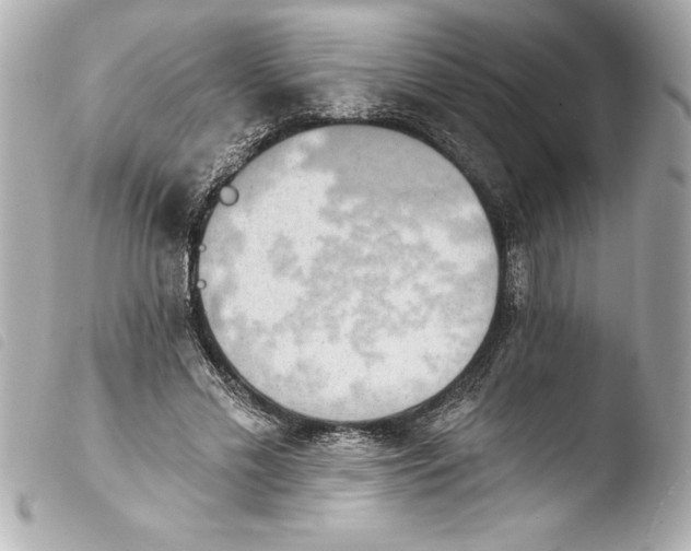 X0000103950589200810031347