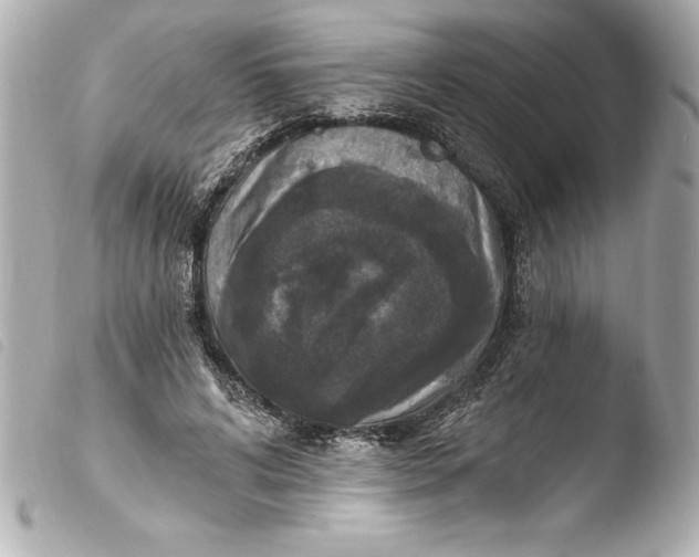 X0000103950592200810031347