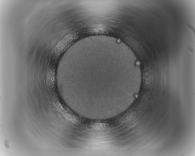 X0000103950593200810031347