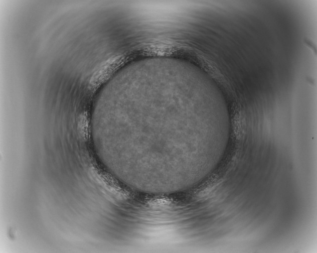 X0000103950594200810031347