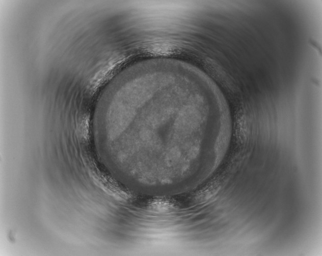 X0000103950596200810031347