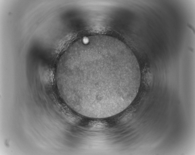 X0000103950597200810031347