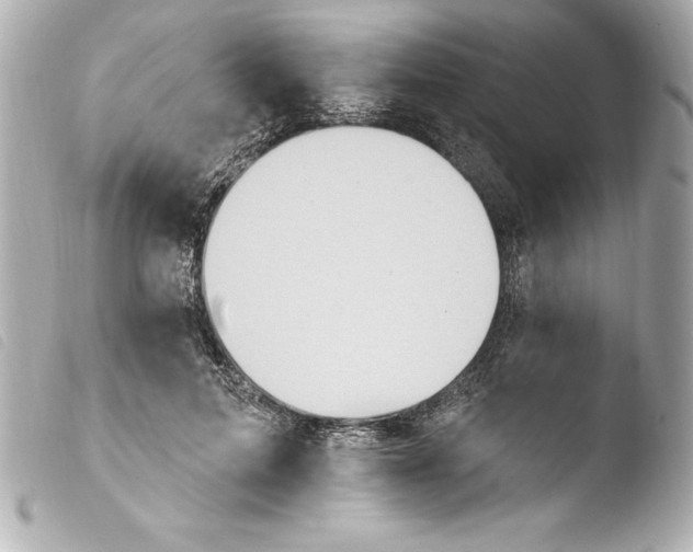 X0000103950599200810031347