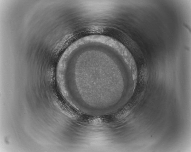 X0000103950600200810031347