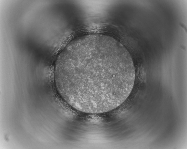 X0000103950601200810031347