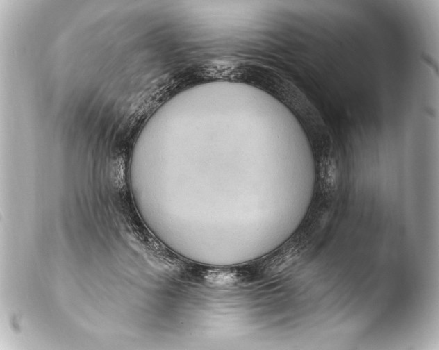 X0000103950602200810031347