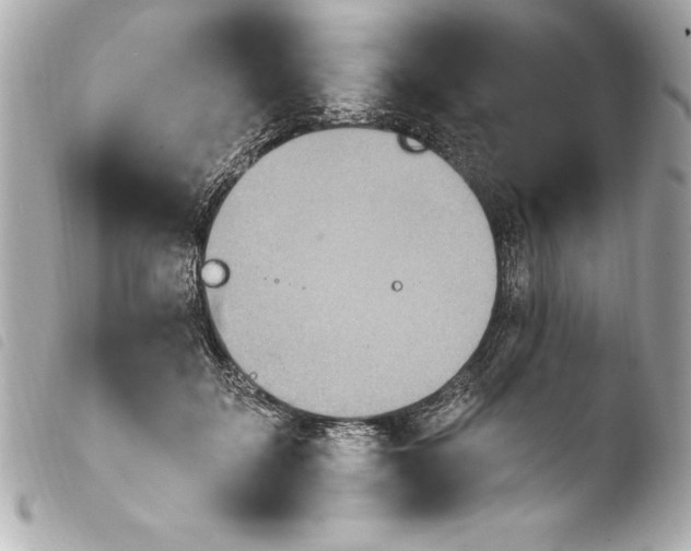 X0000103950603200810031347