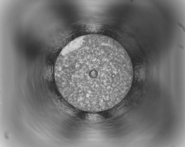 X0000103950605200810031347