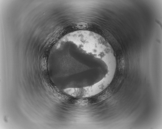 X0000103950606200810031347