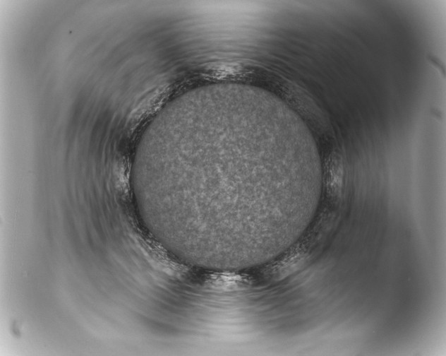 X0000103950607200810031347