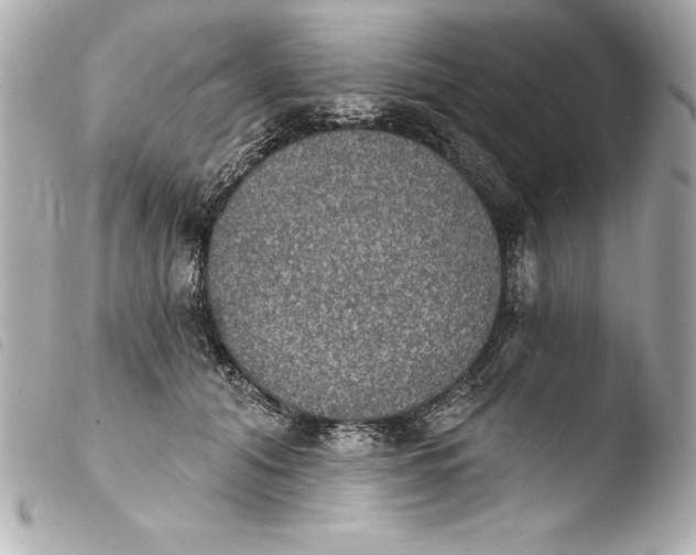 X0000103950608200810031347