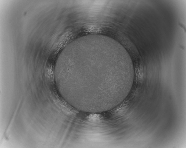 X0000103950609200810031347