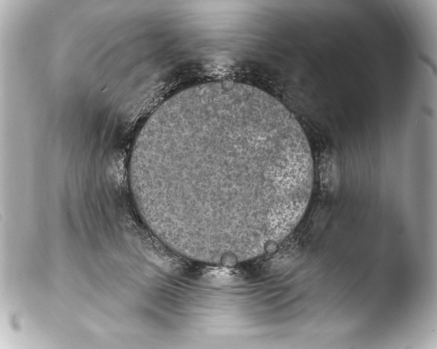 X0000103950611200810031347