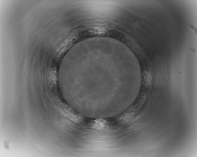 X0000103950612200810031347