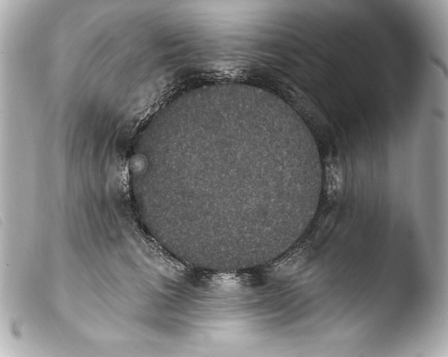 X0000103950613200810031347