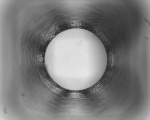 X0000103950614200810031347