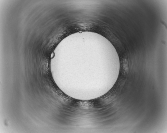 X0000103950615200810031347