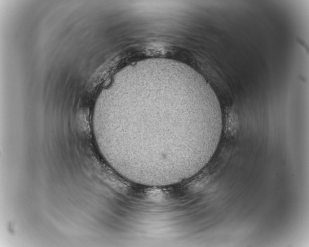 X0000103950616200810031347