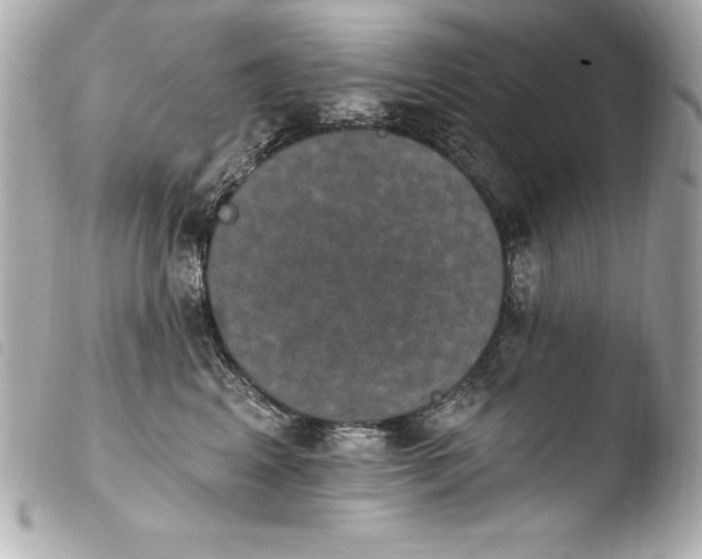 X0000103950617200810031347