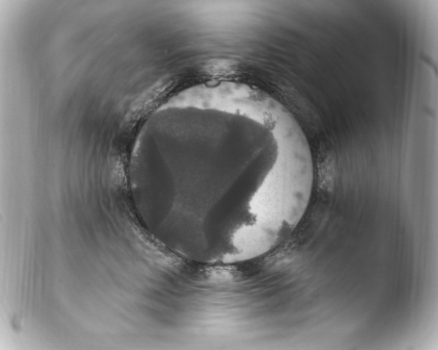 X0000103950618200810031347