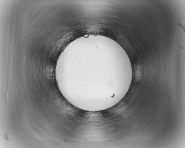 X0000103950619200810031347