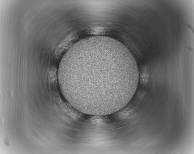 X0000103950620200810031347