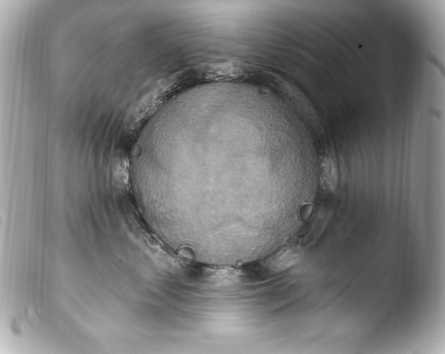 X0000103950621200810031347