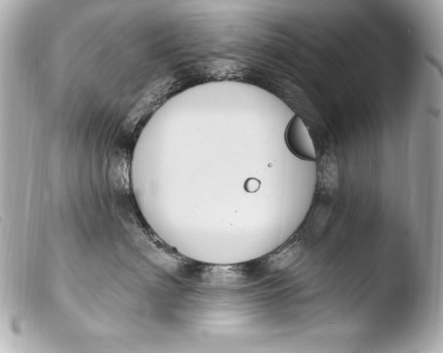 X0000103950622200810031347