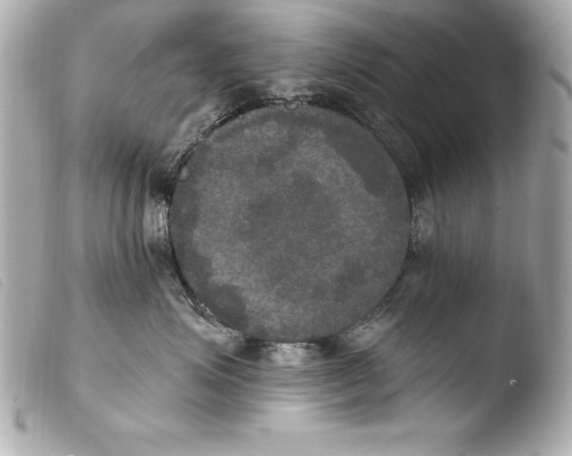 X0000103950623200810031347