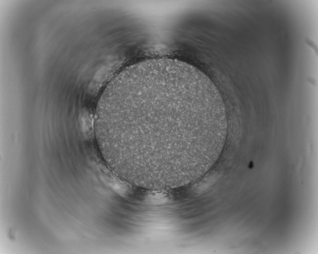 X0000103950624200810031347