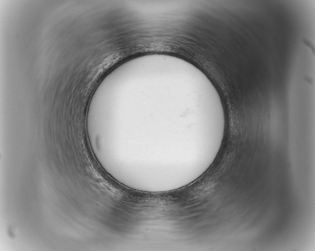 X0000103950625200810031346