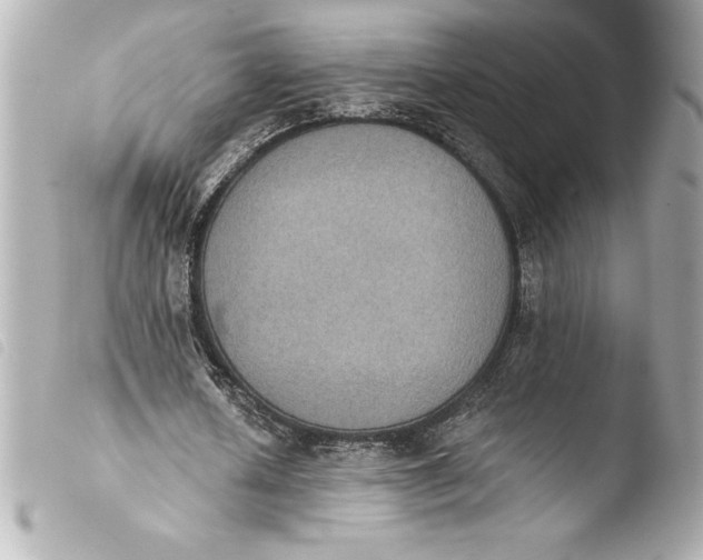 X0000103950626200810031346