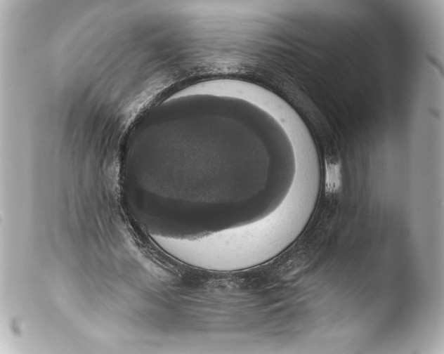 X0000103950627200810031346