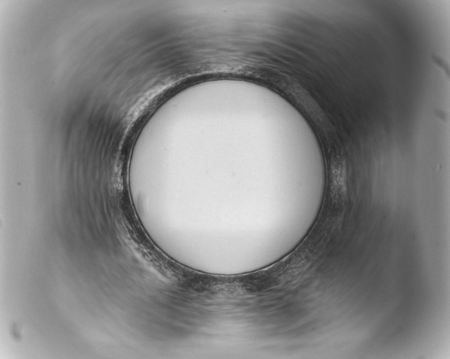 X0000103950628200810031346