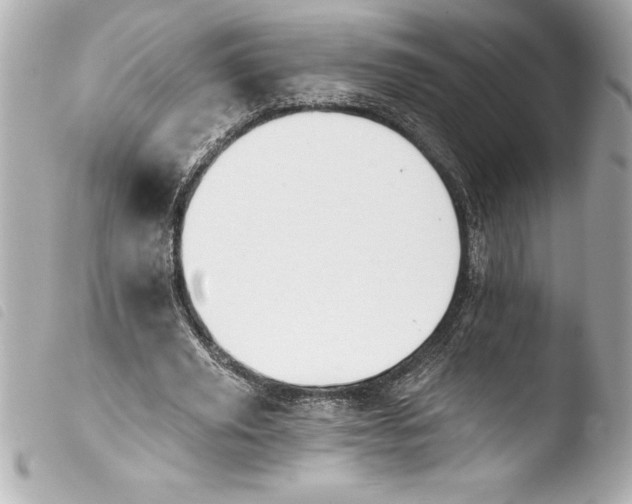 X0000103950629200810031346