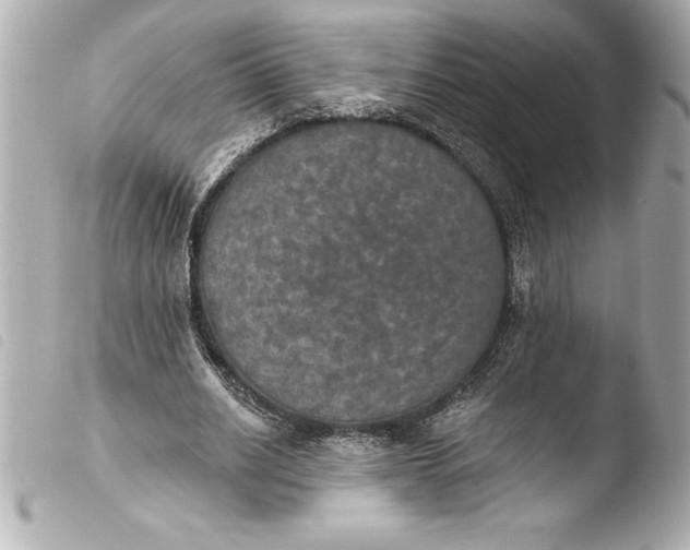 X0000103950630200810031346