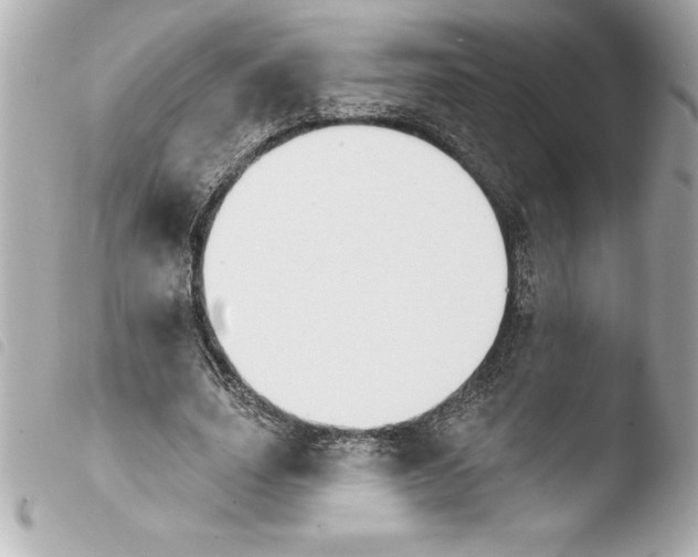 X0000103950631200810031346